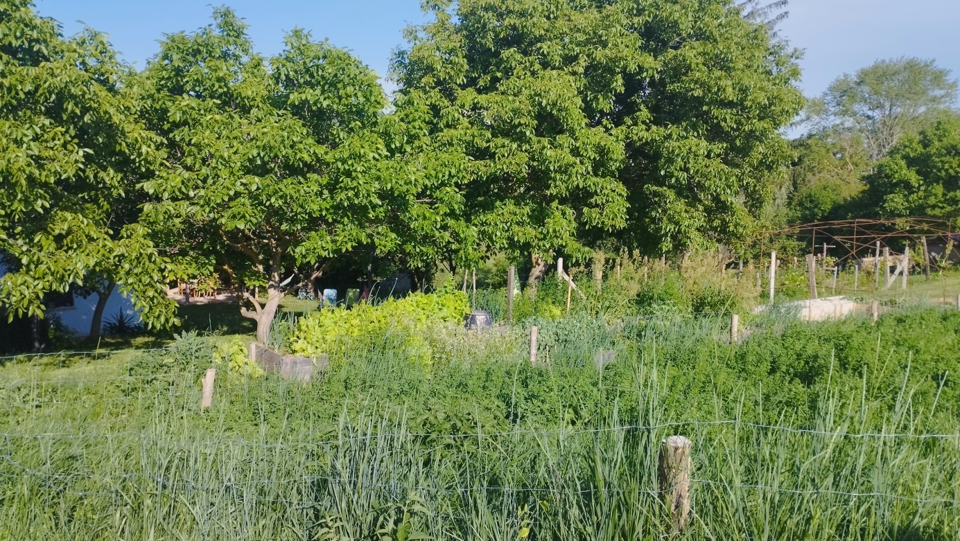 Bakonyi Zöldkör, Biofarm látogatás